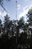 Построение радиосети на территории Мордовского Государственного заповедника